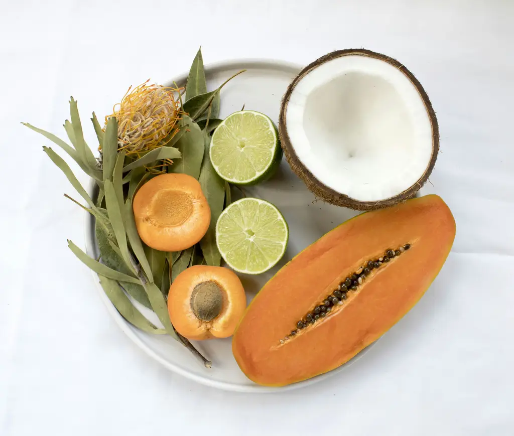 素食天堂：探索台灣的蔬食美味